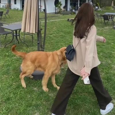 热播口碑